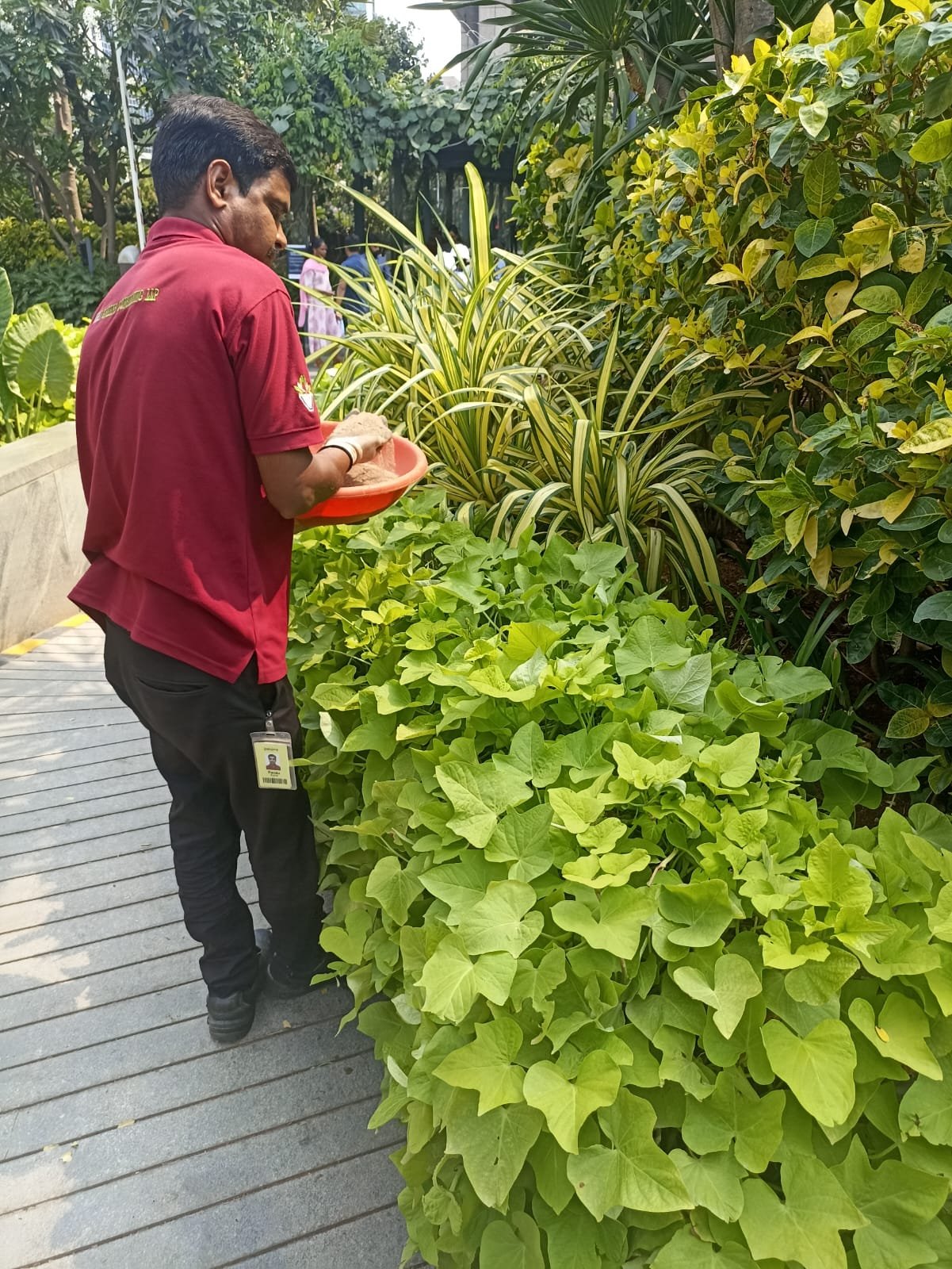 Sustainable Solutions